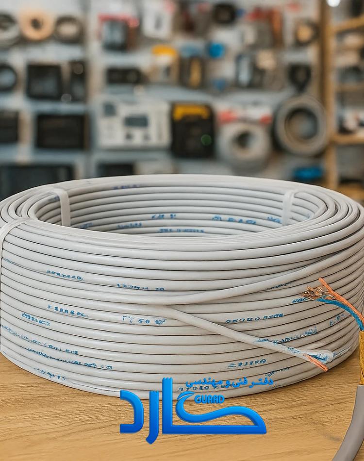 کابل دو زوج 100 متری